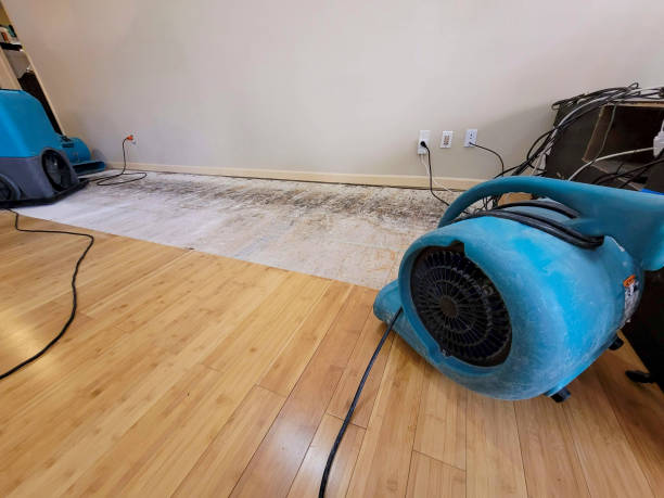 Professional Water Removal technician working in Lyman, SC